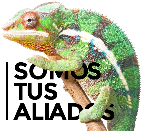 Imagen de un camaleón sobre el texto Somos tus aliados