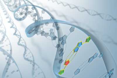 Fotografía ilustrativa del artículo