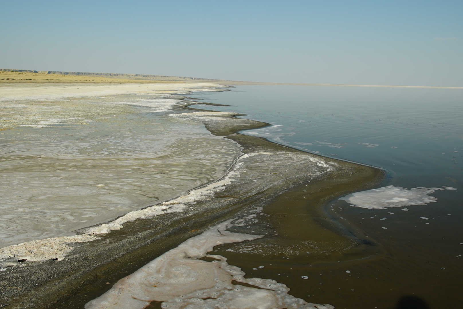 La documentalista audiovisual Laura Carrau, autora de esta foto del paisaje litoral de la zona inundada del Mar de Aral, también forma parte del grupo del trabajo