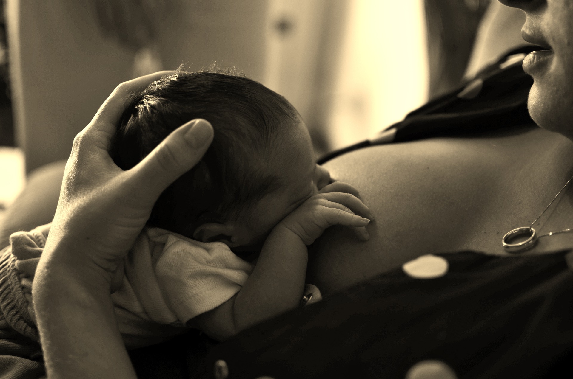 El estudio demuestra que SARS-CoV-2 afecta a la composición de nutrientes que llegan al bebé y se relaciona con las defensas contra la enfermedad. Fuente: Pixabay