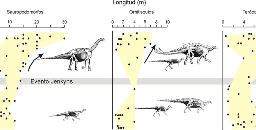 Figura que ilustra las variaciones de temperatura a lo largo del Jurásico inferior y medio y el cambio de tamaño entre las formas herbívoras y carnívoras de dinosaurios previamente y posteriormente al Evento Jenkyns.