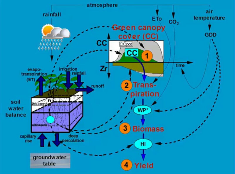 AquaCrop es un modelo de simulación de crecimiento de los cultivos desarrollado por la FAO.