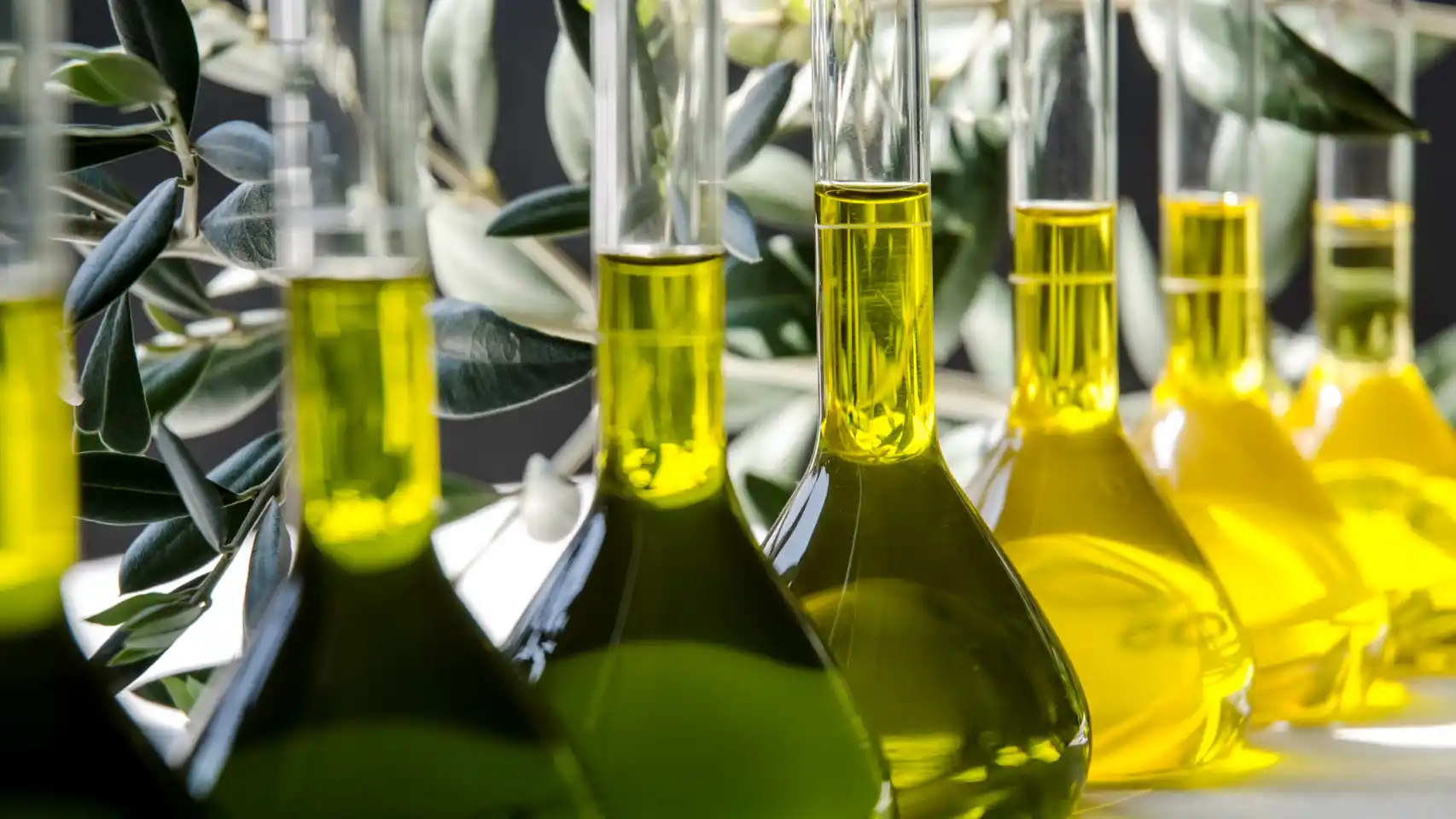 El estudio aporta un respaldo científico a la elección de los aceites más saludables. / CSIC-Andalucía