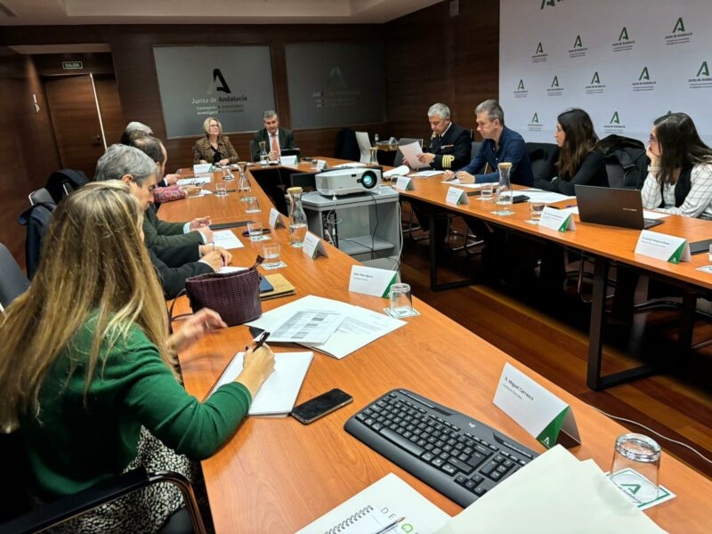 Un momento del Patronato de la Fundación Descubre, celebrado en la Consejería de Universidad, Investigación e Innovación.