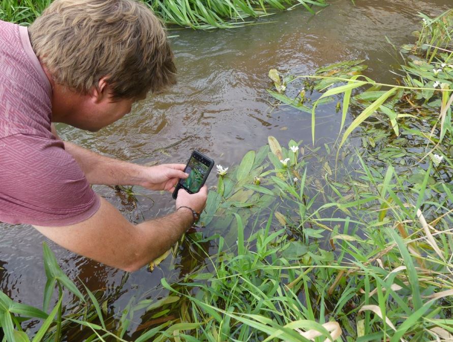 Fundaci N Descubre La Ciencia Ciudadana Se Alza Eficaz Para Las Especies Invasoras