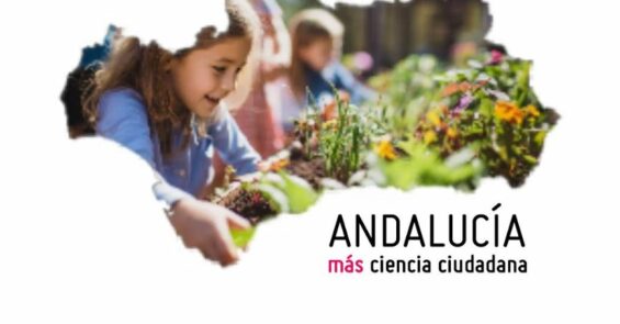 Fotografía ilustrativa del curso
