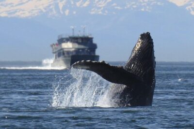 Fotografía ilustrativa del artículo