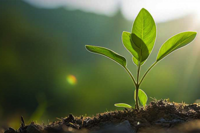 Fotografía ilustrativa del evento