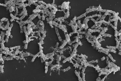 Fotografía ilustrativa del artículo