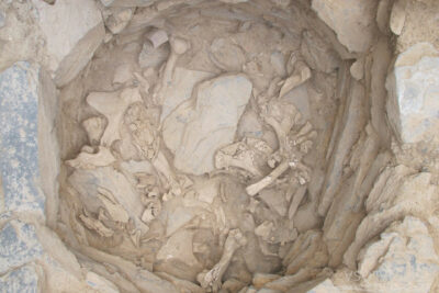 Fotografía ilustrativa del artículo