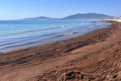 Fotografía ilustrativa del artículo