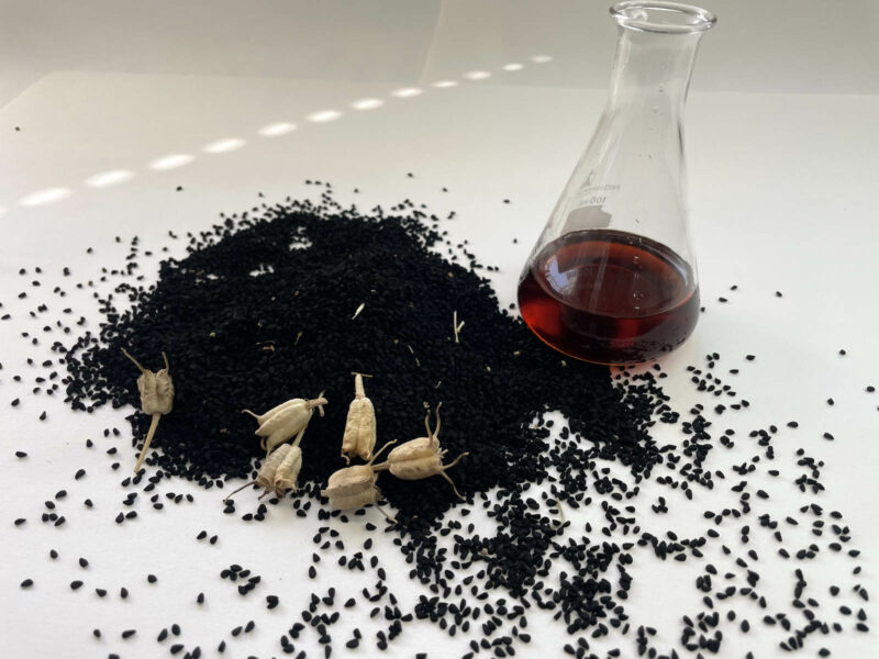 Aceite, frutos y semillas analizados en el estudio.