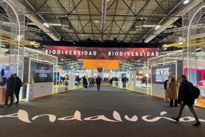 Fotografía ilustrativa del artículo