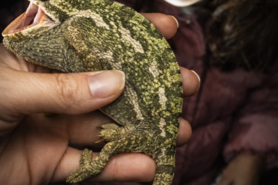 Fotografía ilustrativa del artículo