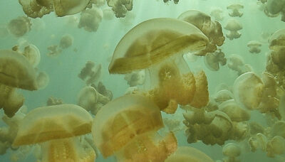 Fotografía ilustrativa del evento