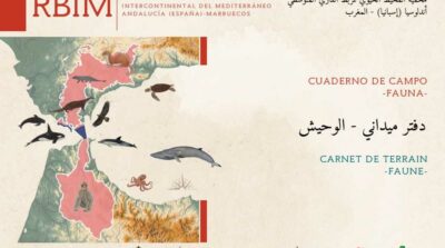 Fotografía ilustrativa del recurso