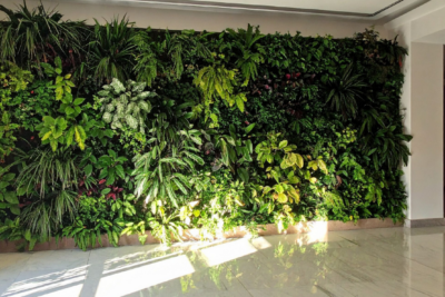 Fotografía ilustrativa del artículo