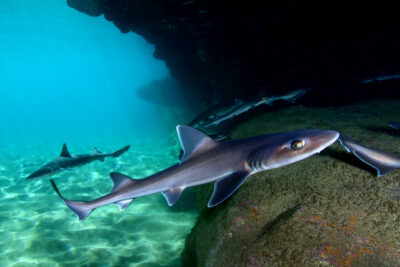 Fotografía ilustrativa del artículo