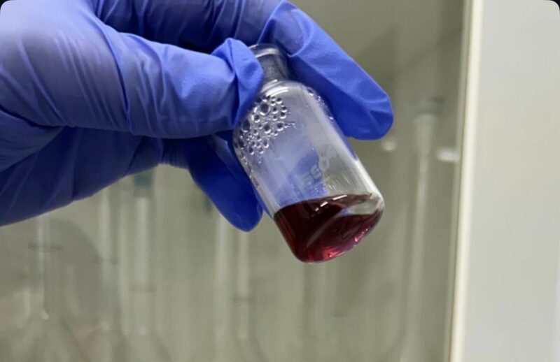 Nanopartículas de oro soluble obtenidas de los extractos de las hojas de pino.