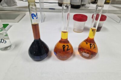 Fotografía ilustrativa del artículo