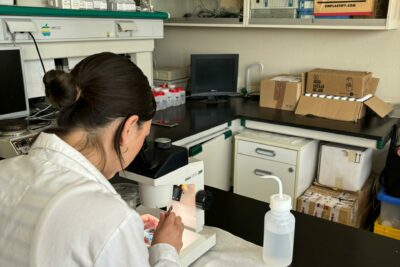 Fotografía ilustrativa del artículo