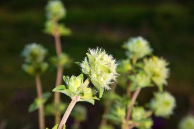 Fotografía ilustrativa del artículo