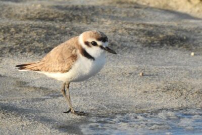 Fotografía ilustrativa del artículo