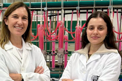 Fotografía ilustrativa del artículo