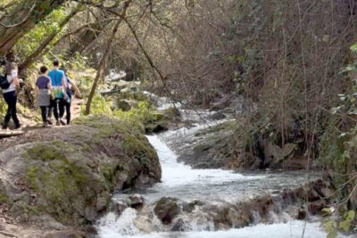 Fotografía ilustrativa del artículo