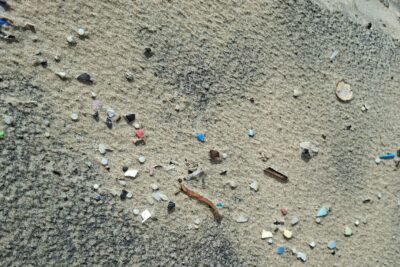 Fotografía ilustrativa del artículo