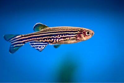 Fotografía ilustrativa del artículo