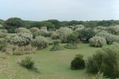 Fotografía ilustrativa del artículo