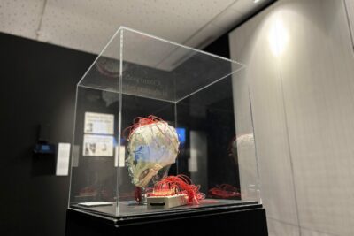 Fotografía ilustrativa del evento