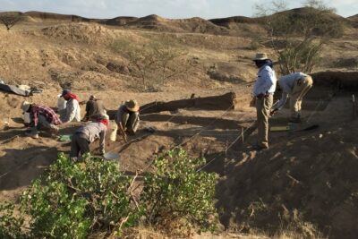 Fotografía ilustrativa del artículo