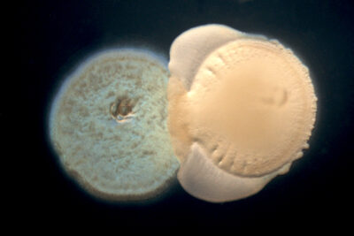 Fotografía ilustrativa del artículo