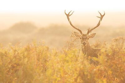 Fotografía ilustrativa del artículo