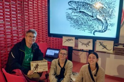 Fotografía ilustrativa del artículo