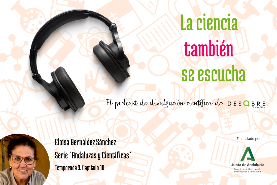 Fotografía ilustrativa del evento