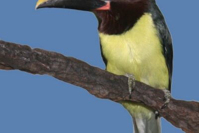 Fotografía ilustrativa del artículo