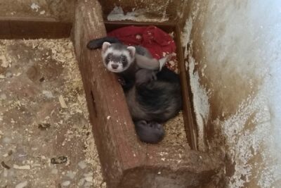 Fotografía ilustrativa del artículo