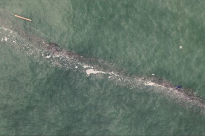 Fotografía ilustrativa del artículo