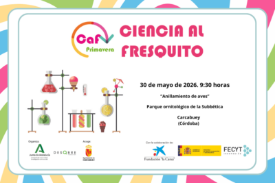 Fotografía ilustrativa del artículo