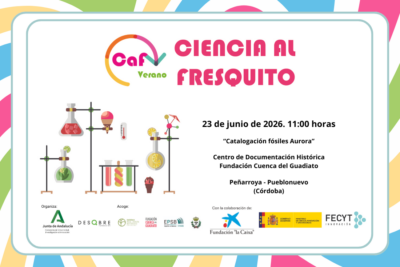 Fotografía ilustrativa del artículo