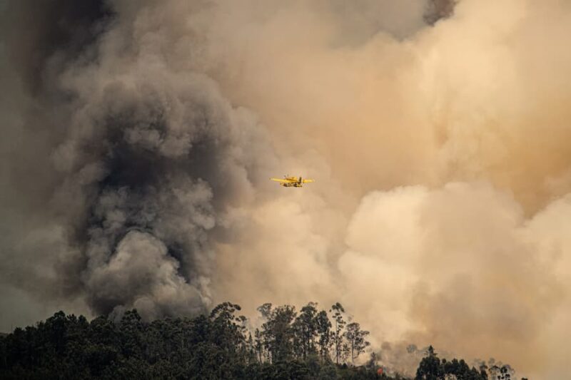 El cambio climático intensifica la lucha contra incendios. / Pexels